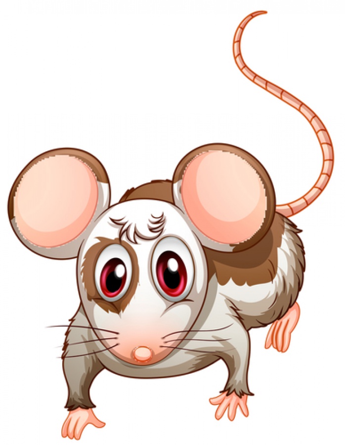 MOUSE